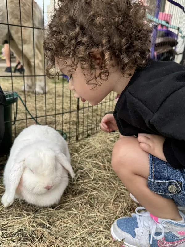 A child crouches near a white bunny in the petting zoo area.